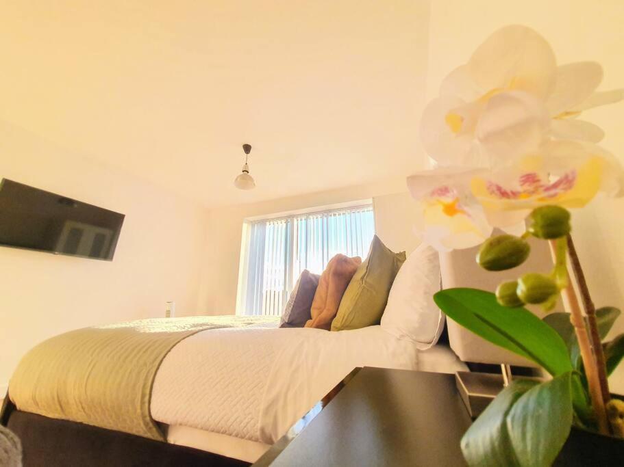 Contemporary Modern Studio Apartment - City Centre Бирмингам Екстериор снимка